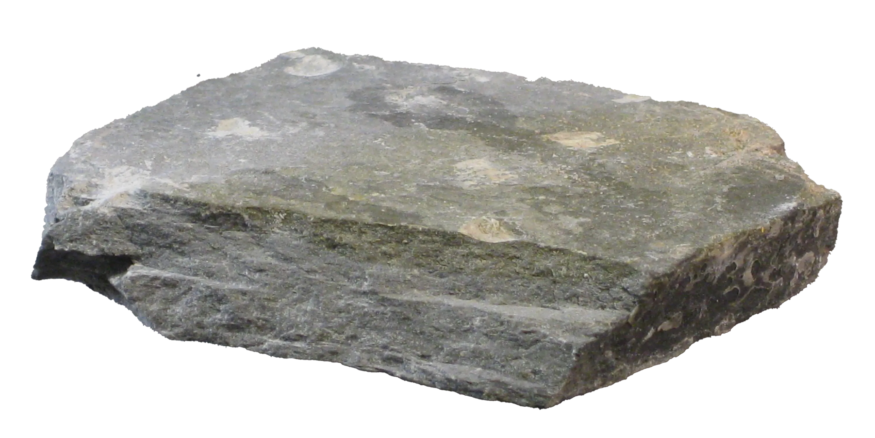 A large piece of grey slate viewed from the side. The slate has other tones of yellow, white and green throughout.