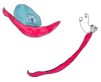 Two hand drawn illustrations of a snail and a slug. The snail is red with a shell made up of blue tones. The slug is red with its antennae poking up and mouth open with small teeth.