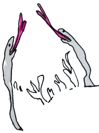 A hand drawn illustration of two grey snakes both poking out their pink tongues in the air. In between the snakes, are small line drawings of plants.