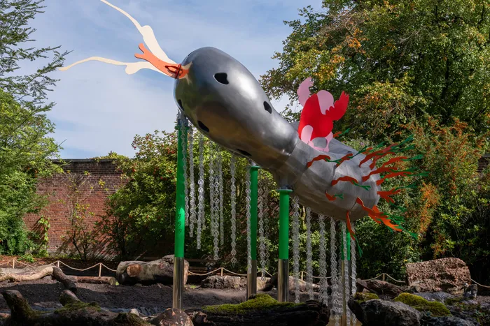 Slug Site Photo - Credit Mark McNulty